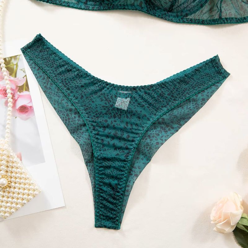 Set di 2 Pezzi Lingerie Donna, - Sheer Mesh Bra recensione e prezzo